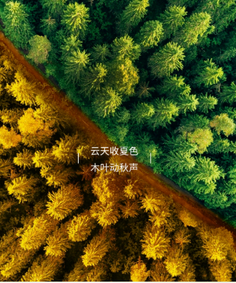 立秋 | 悄然凉意起，辞夏迎新秋